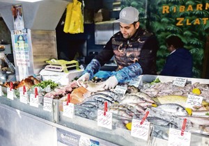 Ribarnica, ilustracija