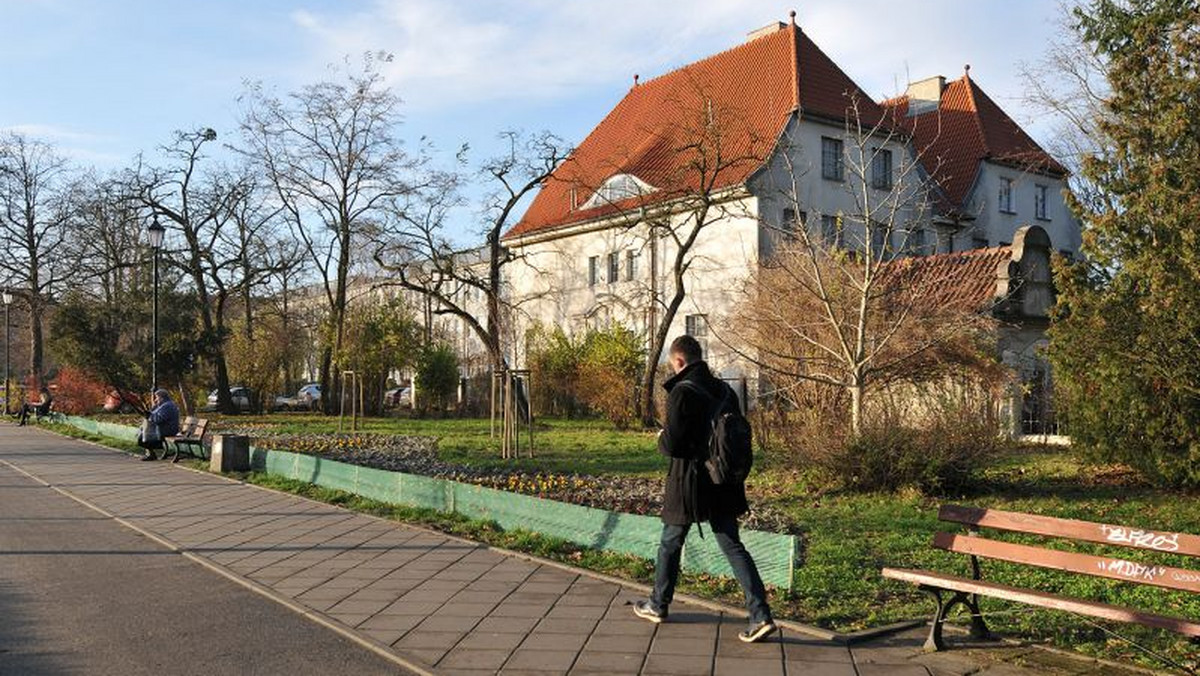 Na skwerze przy ul. Chopina w Toruniu pojawiły się niezwykłe drzewa, które w przyszłym roku będą pachnieć niczym piernik. Miasto wzbogaciło się także o 1500 nowych kwiatów. Ich nasadzenia przypominają kształtem toruńską katarzynkę.