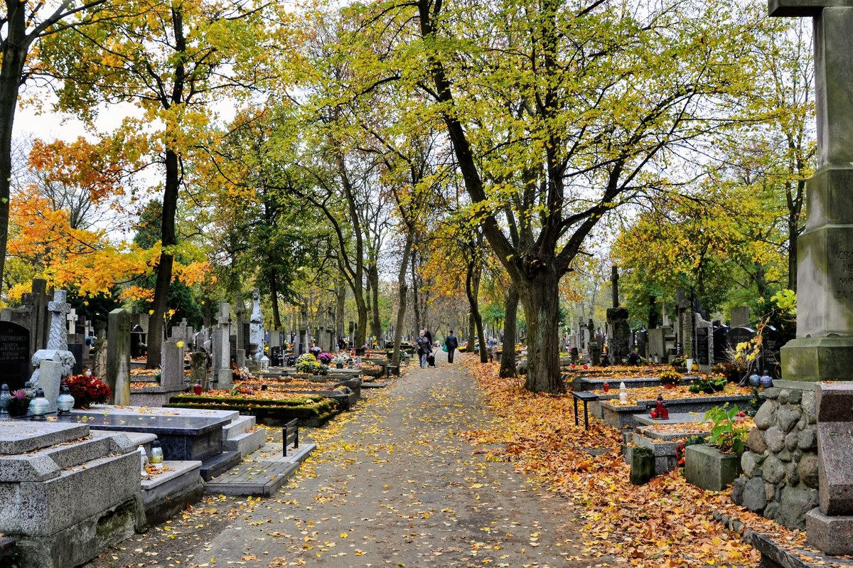 Czy we Wszystkich Świętych 2025 sklepy są otwarte?