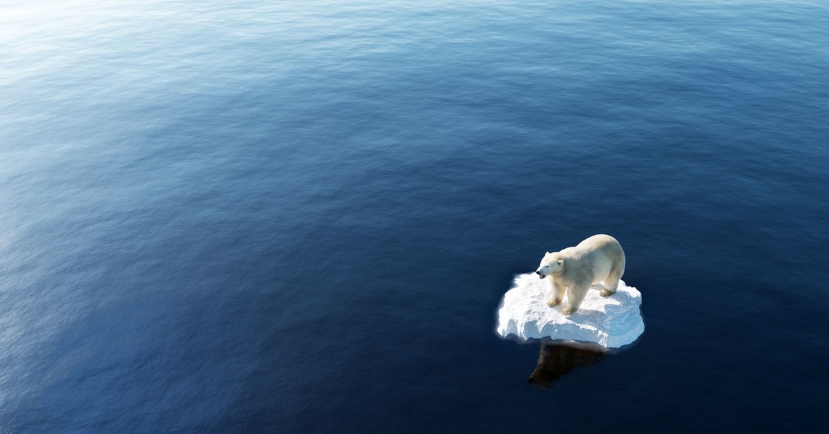 Nie mów im, co mają robić. Wywiad z Noblistą o narracjach w nauce.