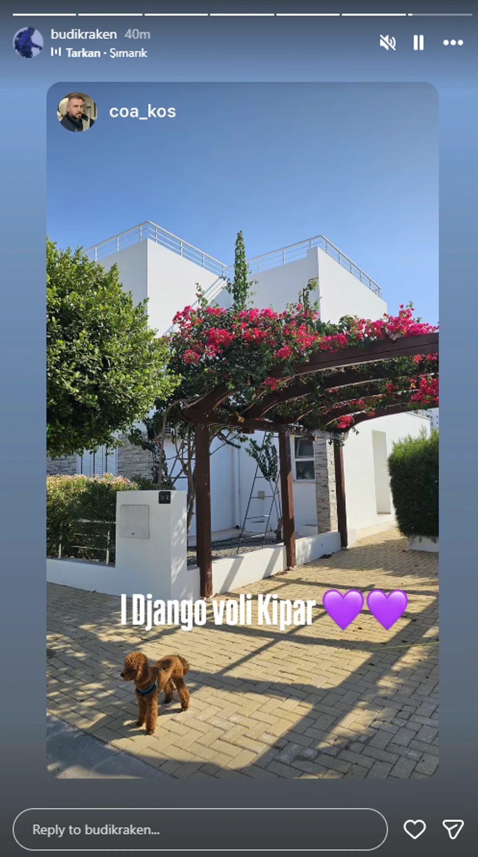 Čeda Jovanović i Aleksandar Kos