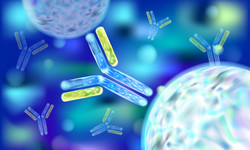 Bakterie - rola, badania, bakterie chorobotwórcze
