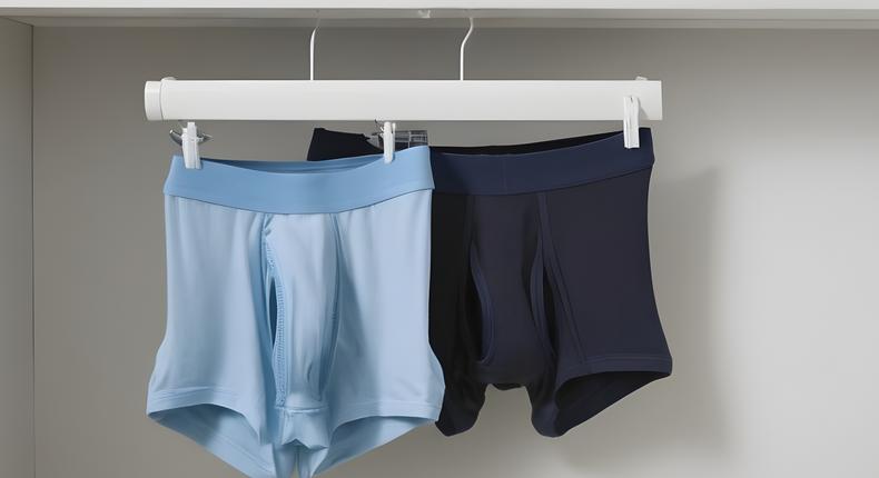 3-men's-underwear-hanged-in-a-visible-wardrobe ( AI - generated)