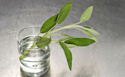 Sok z aloesu, napar z szałwii - najlepsze naturalne płukanki do zębów