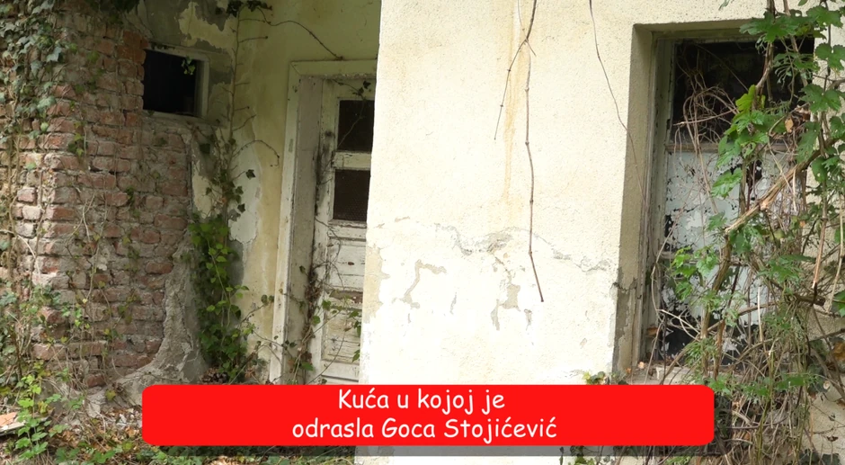 Goca Stojićević, emisija "Metar moga sela"