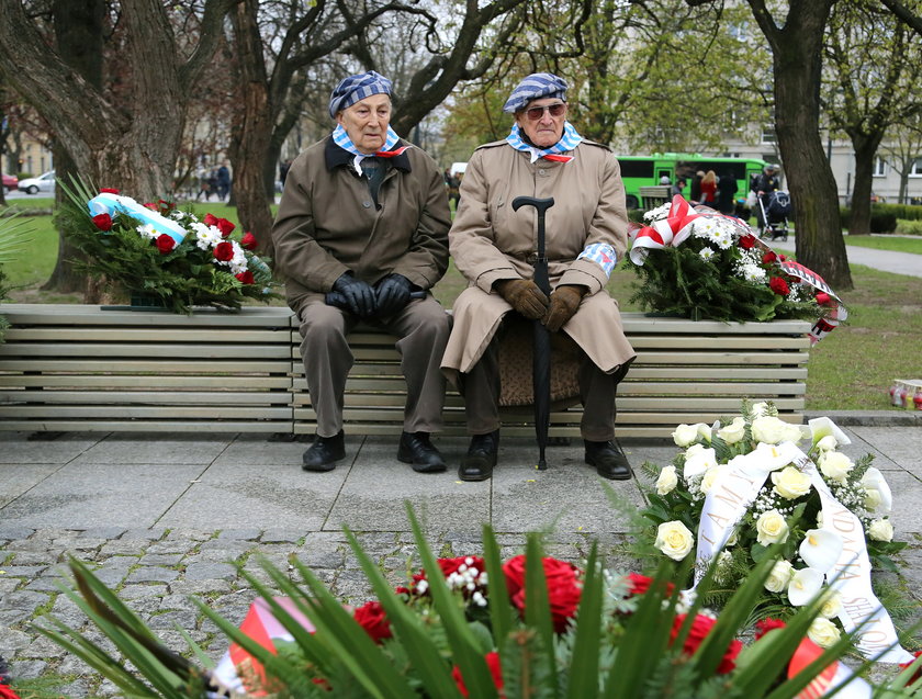 Rozdali tysiące żonkili