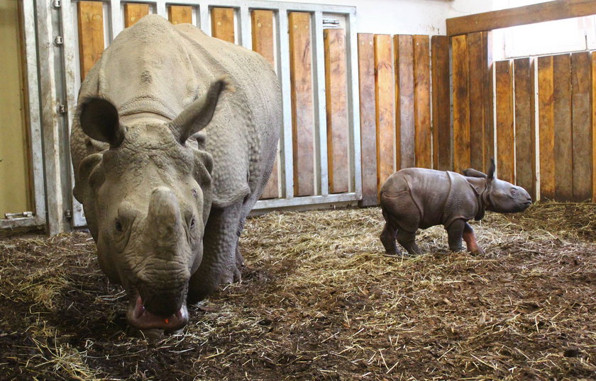 Nowy mieszkaniec zoo