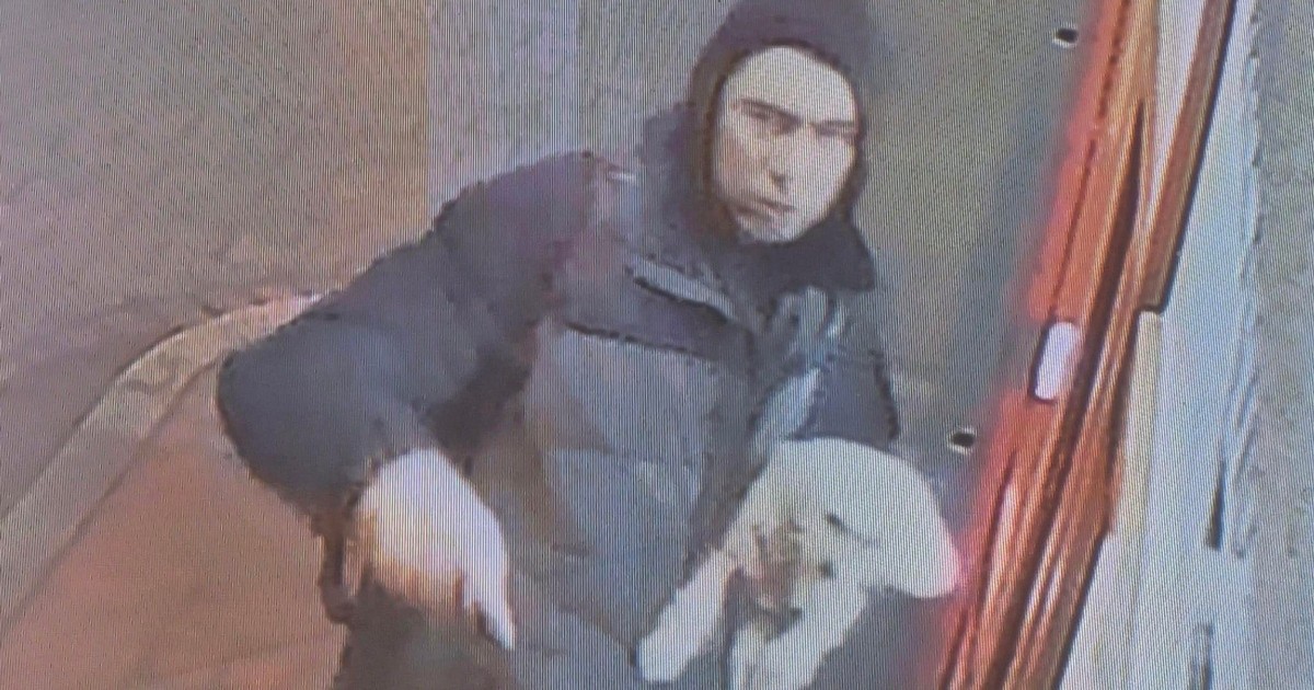 Policja szuka mężczyzny, który przywłaszczył maltańczyka