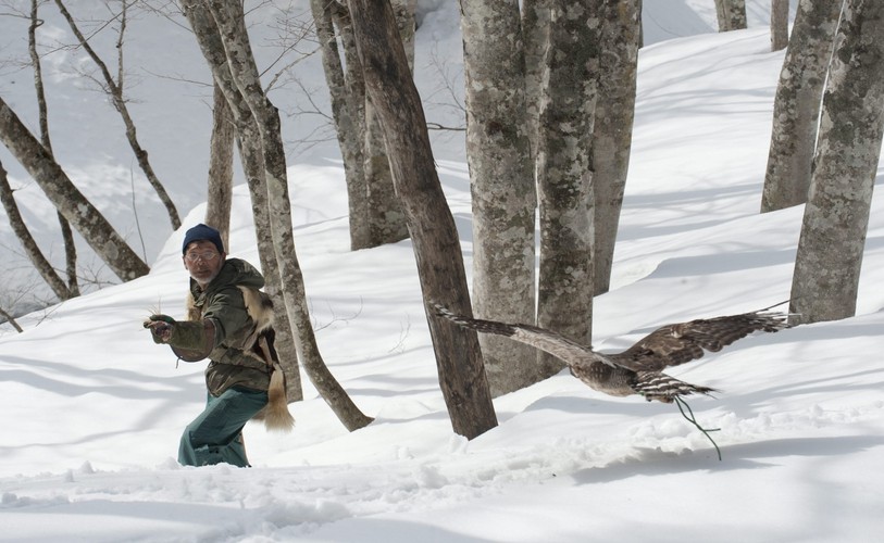 Hidetoshi Matsubara. Ostatni sokolnik w Japonii