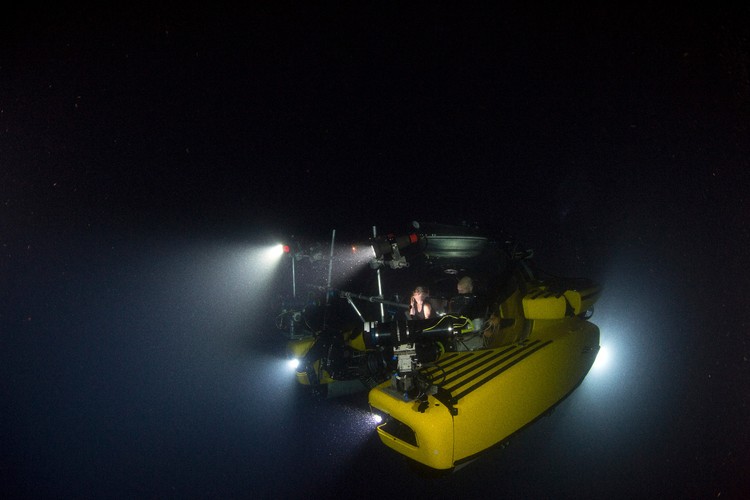 Błękitna Planeta II Premiera: 16 listopada, godz. 19:55 w BBC Earth