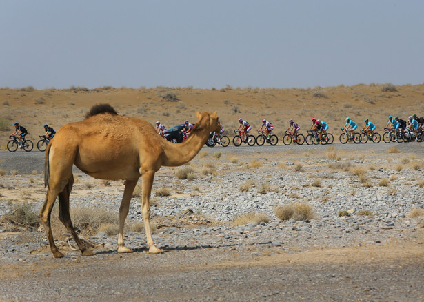 Tour of Oman: Gardini najlepszy na 1. etapie. Majka zajął 46. miejsce