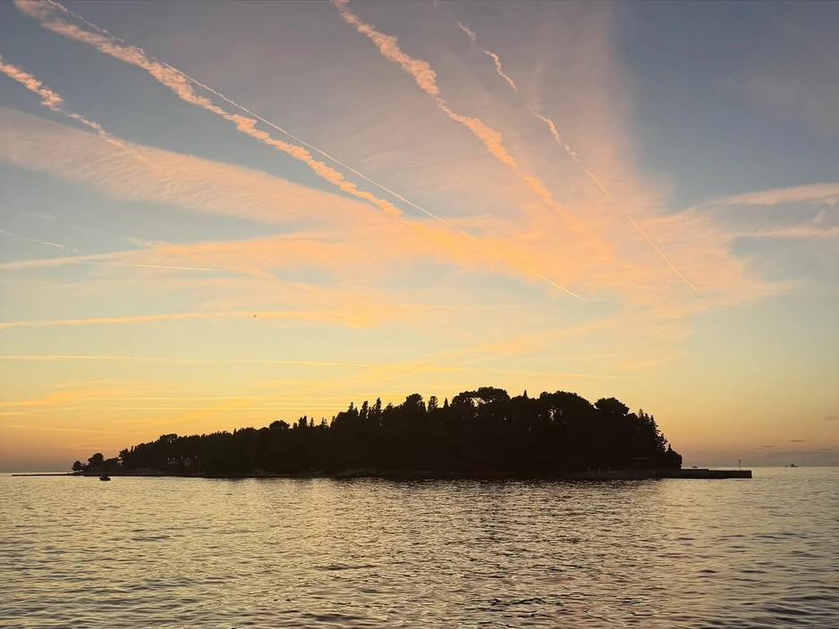 Viktor Živojinović