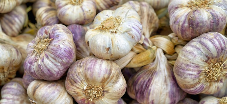 Jedz czosnek na zdrowie. Chroni przed rakiem