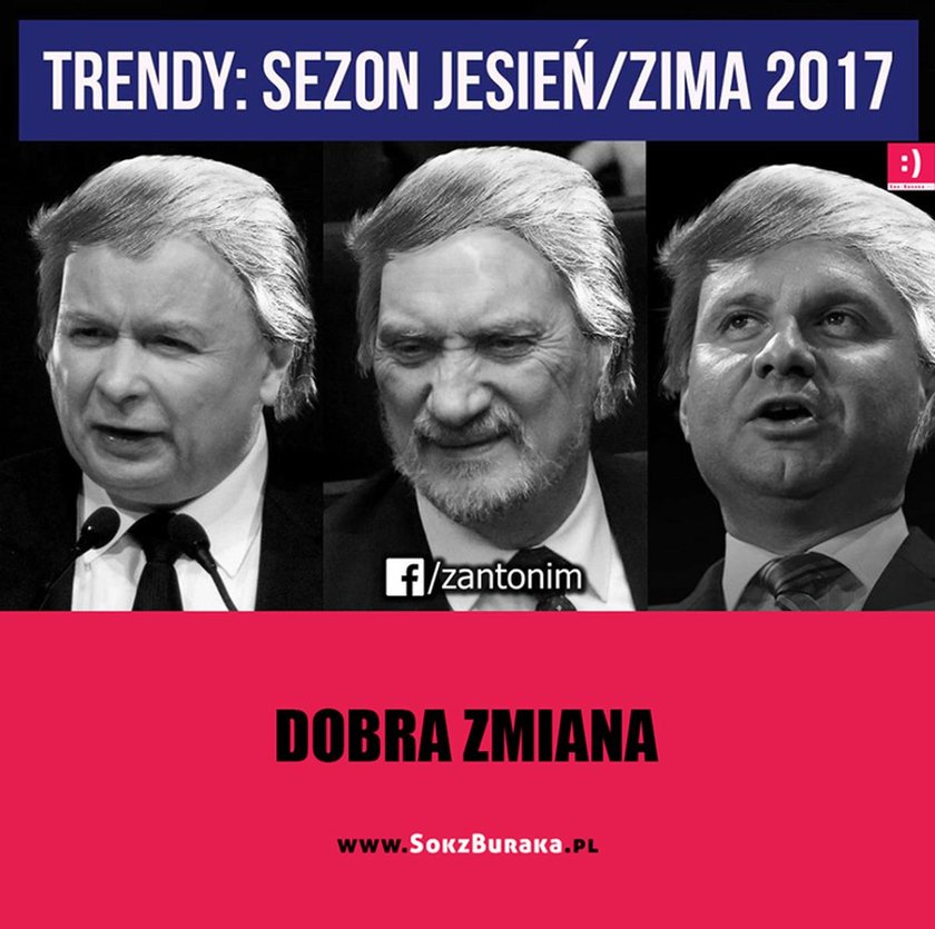 Polscy internauci komentują wygraną Donalda Trumpa w wyborach prezydenckich