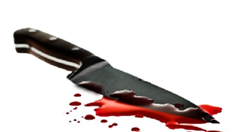 Bloody knife attack lands woman in jail