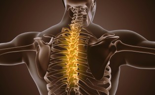 Naukowcy zidentyfikowali neurony potrzebne do odzyskania sprawności przez osoby sparaliżowane