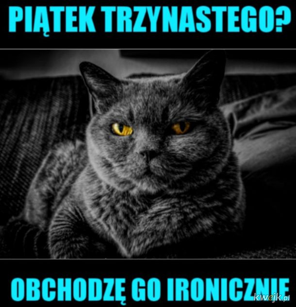 Dzisiaj piątek trzynastego. Te memy poprawią ci humor