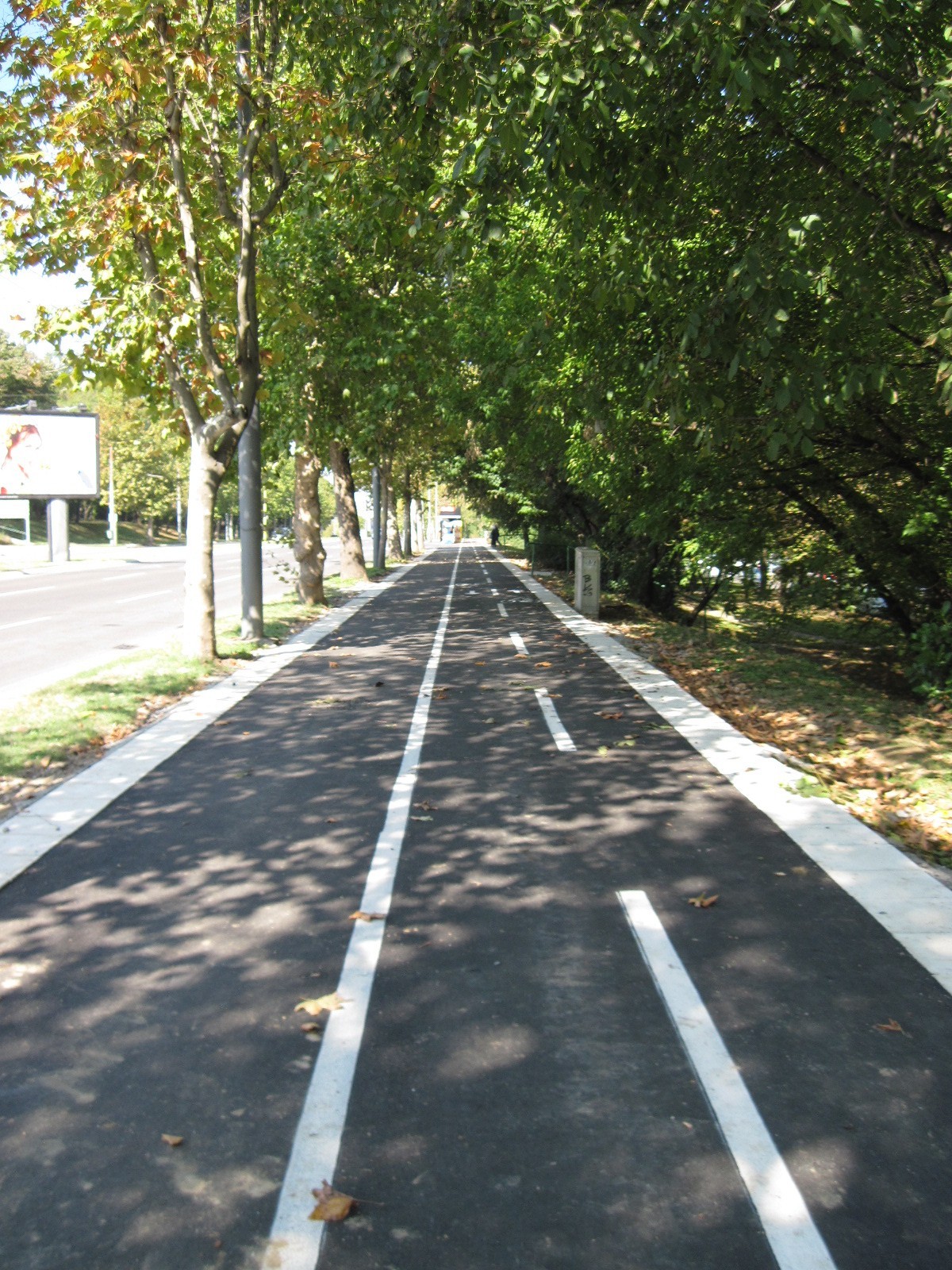 Gradi se najduža biciklistička staza u Srbiji: Biće dvosmerna a povezaće dva velika grada