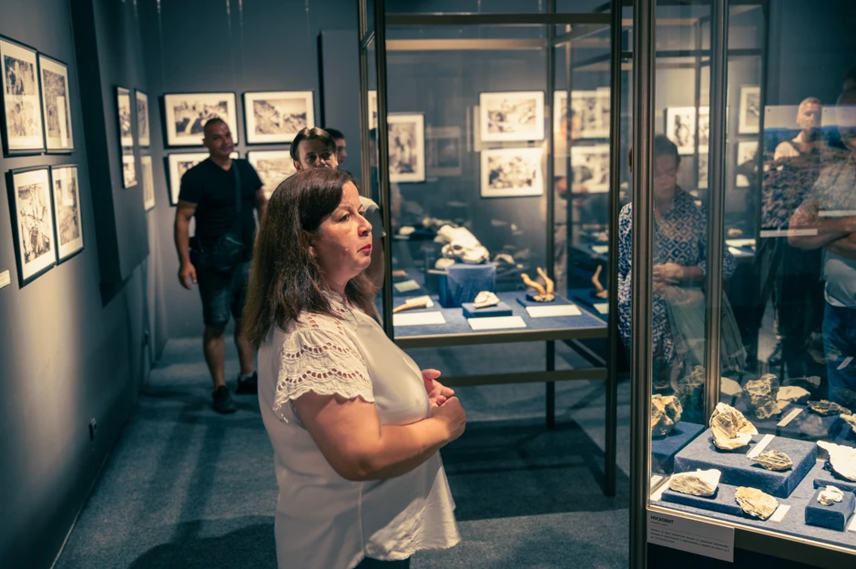 Galerija Prirodnjačkog muzeja na Kalemegdanu