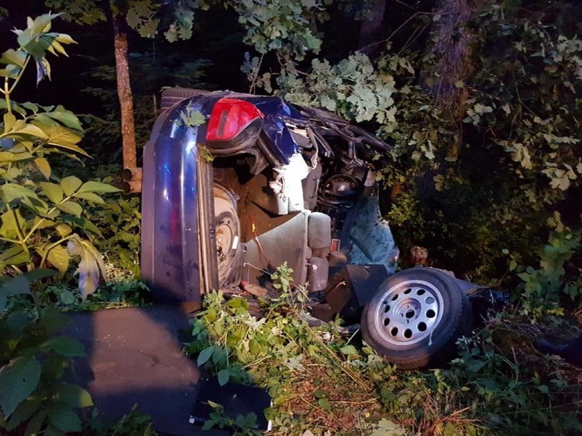 Wszyscy giną w tajemniczym lesie!