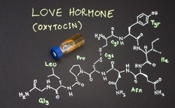 Hormon miłości może leczyć serce. Niezwykłe działanie oksytocyny