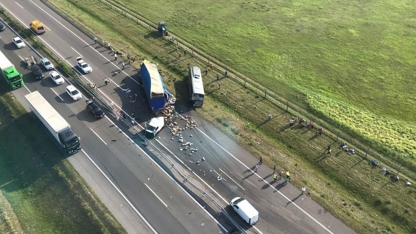 Wypadek polskiego autokaru na Węgrzech