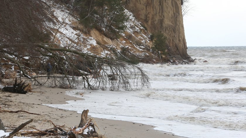 Makabryczne odkrycie na plaży w Gdyni. Spacerowicze natknęli się na zwłoki