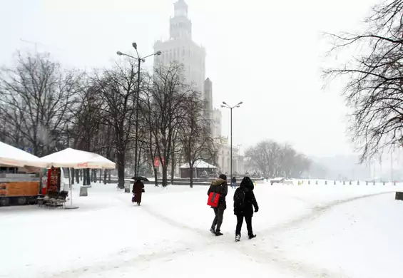 Ludzie zakłócają ważny cykl na planecie. "20 lat temu były tylko studia przypadków"