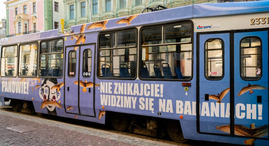 Na ulice Wrocławia wyjechał „złotowąsowy tramwaj. Pojazd MPK Wrocław jest oklejony grafikami dotyczącymi akcji, a w jego wnętrzu znajdują się materiały na temat męskiej profilaktyki. 