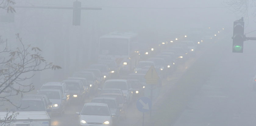 Przerażające skutki smogu. W Polsce będzie więcej dzieci z autyzmem?