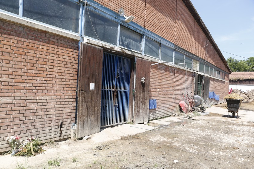 Hipodrom na kom se dogodila nesreća