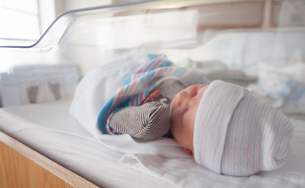 W USA po raz pierwszy od 8 lat wzrósł wskaźnik urodzeń