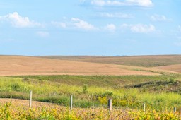 Biznes częściowo przekonał Ministerstwo Rolnictwa do uproszczeń w obrocie ziemią rolną