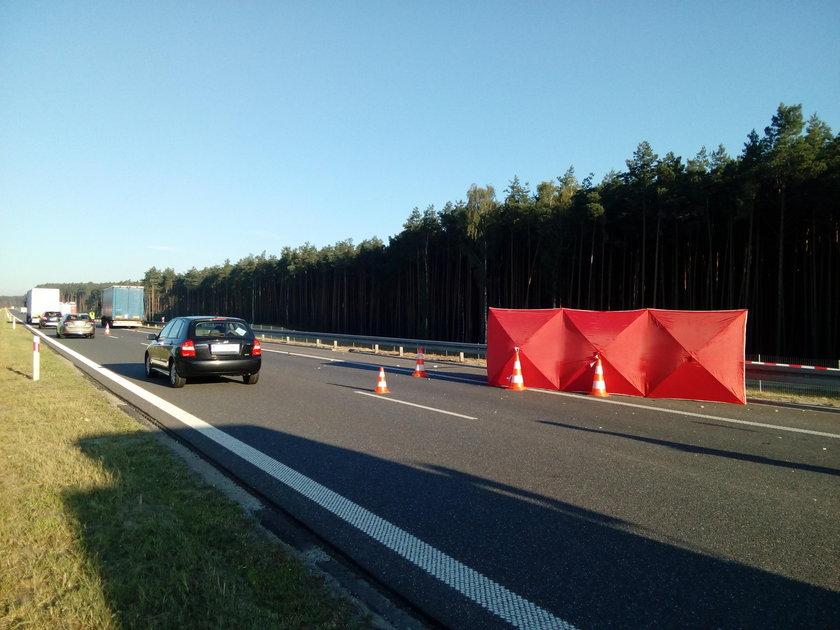 Sebastian chciał pomóc. Zginął tragicznie