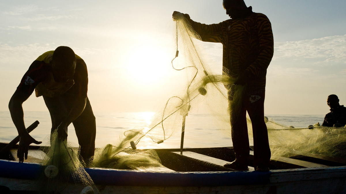 Wyzysk rybaków, rabunkowa eksploatacja łowisk, ryby hodowlane faszerowane antybiotykami i pestycydami. Czy można jeść ryby z czystym sumieniem?