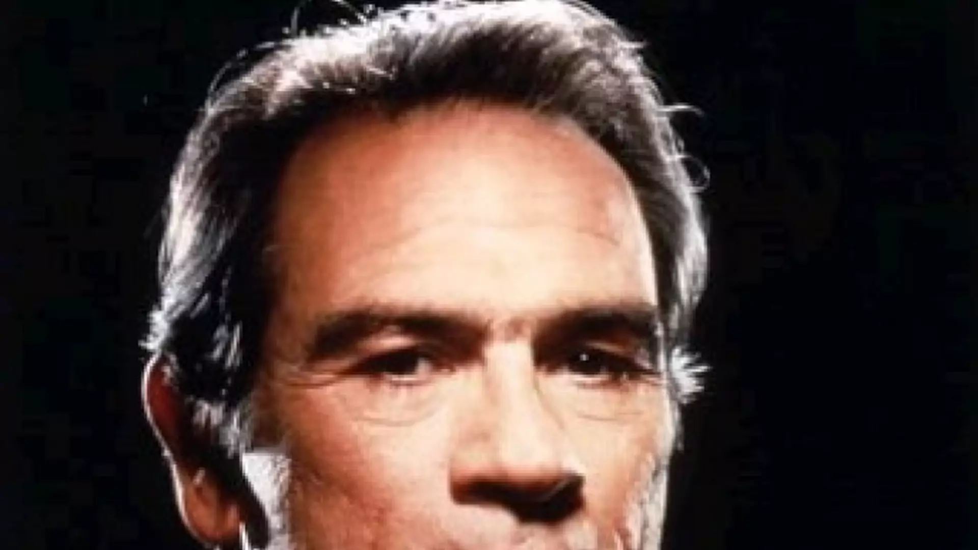 Tommy Lee Jones - Albumy fanów