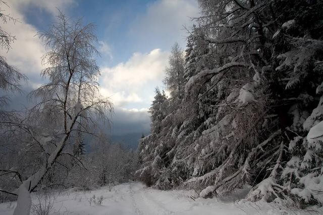 Galeria Polska - Bieszczady w zimowej szacie, obrazek 21