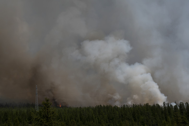 Pożar tajgi na rosyjskiej Syberii w pobliżu miasta Atka