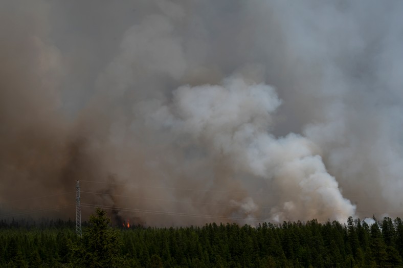 Pożar tajgi na rosyjskiej Syberii w pobliżu miasta Atka