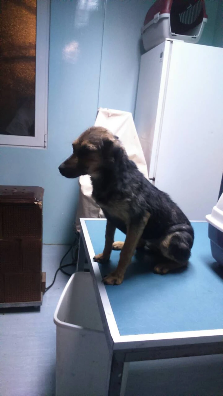 Ženka je prošla kroz intenzivnu terapiju