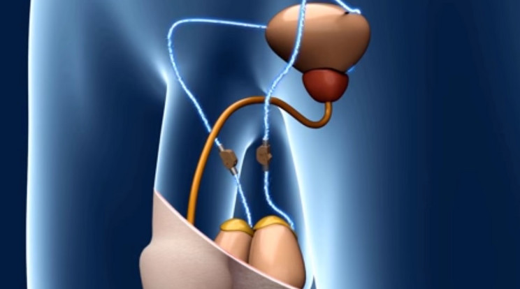 A fogamzásgátlásra ez lesz sokak szerint a legújabb módszer : kikapcsolhatják a férfiak ejakulációját!