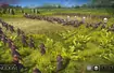 Total War Battles: Kingdom