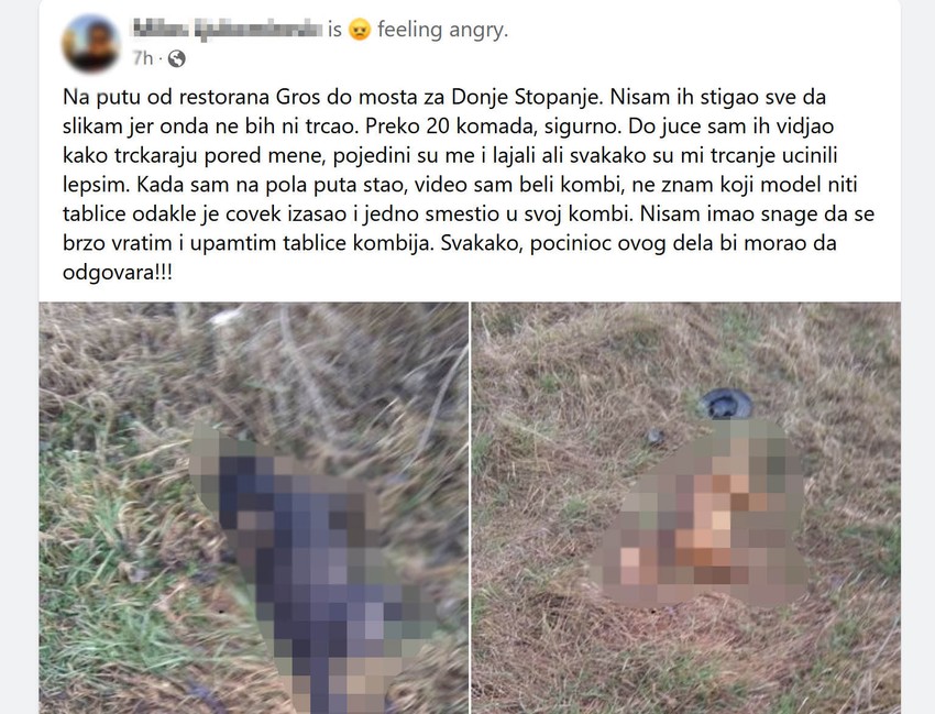 Trovanje pasa u Leskovcu