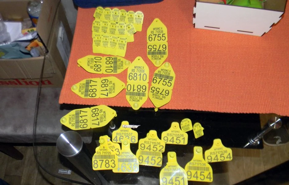 Otkrivena nelegalna klanica u Ratkovu