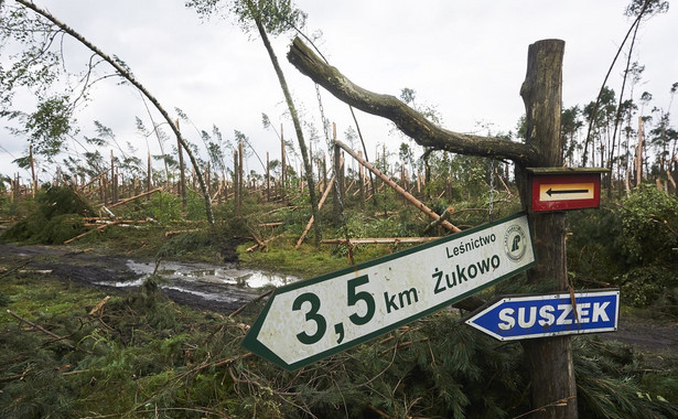 W Suszku zginęły dwie harcerki. W Związku Harcerstwa Rzeczypospolitej została zarządzona żałoba