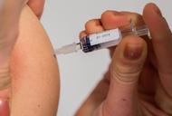 szczepienie odra szczepionka