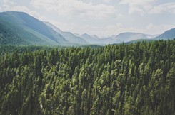 Fala upałów na Syberii uwalnia duże ilości metanu, co może pogorszyć klimat Ziemi