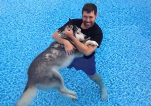 606398_haski-foto-print-screen-youtube-kronc27