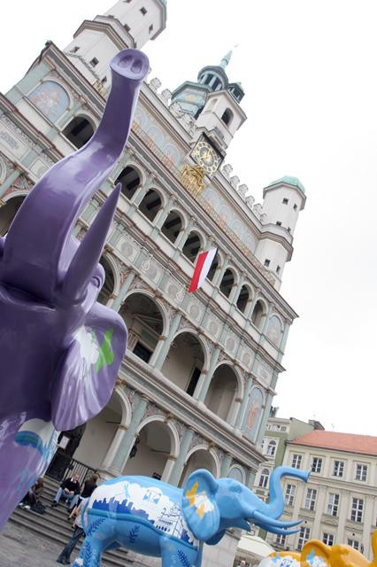 Galeria Polska - inwazja poznańskich słoni, obrazek 3