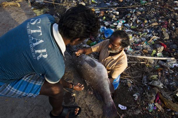 Port Blair, wyspiarska stolica Andamanów i port przesiadkowy dla turystów, to miejsce pełne blaszanych slumsów, śmieci i bezdomnych żebraków